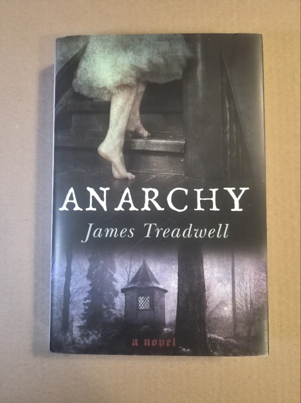 Anarchy by James Treadwell